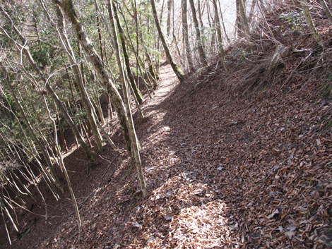 20161206hike (339)